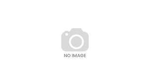 Miraject P Paste Canula 0.8 x 25 mm (21 G), 100 db ›P Paste Canula››